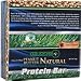 Greens + High Protein Peanut Butter Natural Box - 12 Bars - Box