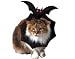 Bat Cat Cat Costume