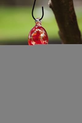 Red Glass Hummingbird Feeder