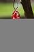 Red Glass Hummingbird Feeder