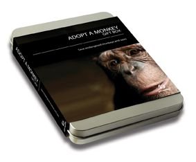 Childrens Toyshop  Electronics : Adopt a Monkey