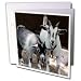 Farm Animals - Pygmy Goat - Greeting Cards-12 Greeting Cards with envelopes