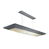 Buy American Fluorescent AEL432SAMV-CK Aeon 22-Inch Multi-Volt Suspended Light with... by American Fluorescent