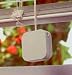 Baby : Retractable Blindwinder Blind Cord Shortener