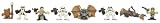 Star Wars Galactic Heroes Cinema Scene Endor Attack
