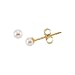 14K Yellow Gold 4 MM Fresh Water Cultured Pearl Children's Earrings