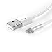 KabelDirekt (1 foot) ultraslim certified Lightning Cable (sync and charge) for Apple devices (iPhone 5, iPhone 6, iPads of the newest generation etc.) white - TOP Series
