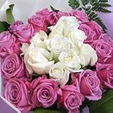 12�����̐����̃u�[�P�@�����ߍ��@�ԑ��@30�{�@�y���ԁz�y���j���z�y�L�O���z�y�a�����z�y�t�����[�M�t�g�z�y�o���z