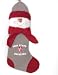 Ohio State Buckeyes 22