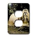 Dogs ShihTzu - Shih Tzu - Light Switch Covers - 2 plug outlet cover