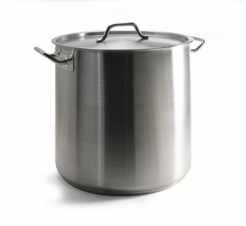 Danesco Gastronome Pro 38.7 Quart (9.5+ Gallon) Deep Stainless Steel Stock Pot w/ Lid