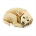 Golden Lab Puppy Figurine - Style 36992
