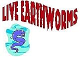 Red Wigglers worms (EF) for Organic Gardening, Composting or bird food.