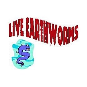Red Wigglers worms (EF) for Organic Gardening, Composting or bird food.