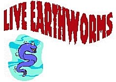 Red Worms
