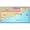 Garmin BlueChart g2 Vision SD Card, North Maine (010-C0218-00)