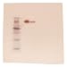 Edvotek 317 Western Blot Analysis (Polyacrylamide-based), For 6 Blots