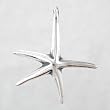 Starfish or Seastar Pendant in Sterling Silver, #8693