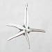 Jewelry : Starfish Pendant in Sterling Silver, #8693
