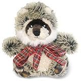 Dr Noys Raccoon - Medium