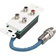 Cables to Go 42061 RapidRun Dual Stereo Audio Wall Plate (White)