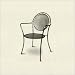 Kettler USA 5501-20 Lion Arm Chair