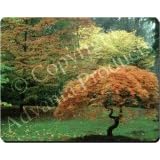 AUTUMN TREES PRINT Mouse Mat / Pad