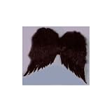 Child Feather Wings