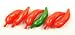 Fred & Friends Chilly Peppers Ice Cube Tray