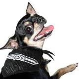 San Antonio Spurs M/L pet dog sports bandana Black NBA