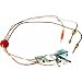 Reliance/State Ind. 9003542 NG Pilot Assembly