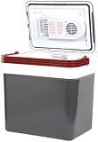 Tracker 23 Liter 12 Volt Cooler by Tracker