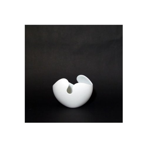 Hakusan Porcelain LIFE SHELLS Ornament S