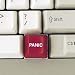 Panic Buttons (4)