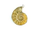 PA0943A Madagascar Ammonite Fossil Crystal Pendant