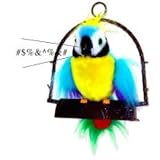 Polly-the insulting vulgar Parrot (Case of 12)