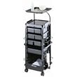 KAYLINE SmartKart Chemical Service Station in Black with Disappearing Lockable Door (Model: SM100-P)