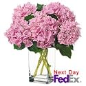 Flowers - Boston Charms