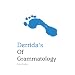 Derrida's Of Grammatology (Indiana Philosophical Guides)