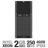 ML150G6 E5504 2GB/250GB Server