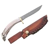Silver Stag Knives 60 Straight Back Damascus Fixed Blade Knife with Crown Stag Handle