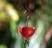 Parasol Red Tulip Ant Moat