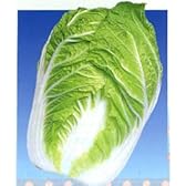 クリーム２号[白菜]【タネ】小袋