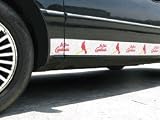 St.Louis Cardinals Car Trim Magnets Best Gift