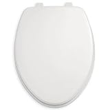 American Standard 5325.024.165 Rise and Shine Elongated Open Front Toilet Seat, Silver