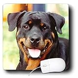 image link - - B002O1LC1E