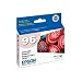 Office Products : Epson T096620 Stylus Photo R2880 Printer UltraChrome K3 Ink Cartridge (Vivid Light Magenta)