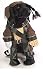 Caribbean Pirate King Dog Halloween Pet Costume Size Large