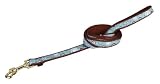 Fido Finery Lead - 3/4 in. x 6' - Blue/Brown Ring-a-Ding Pattern