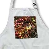 Galapagos Barnacle Bleeny peers out from its home in an old Barnacle shell.Galapagos Islands - Medium Length Apron With Pouch Pockets 22w X 24l